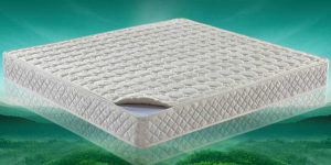 What brand of coconut palm mattress is good?