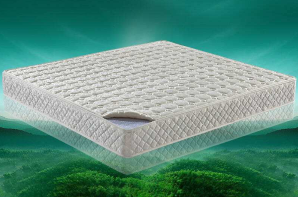 What brand of coconut palm mattress is good?