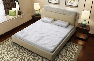 Palm mattress price