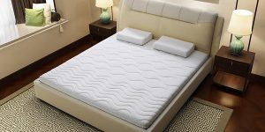 Palm mattress price