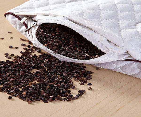 Are buckwheat pillows infested with insects?